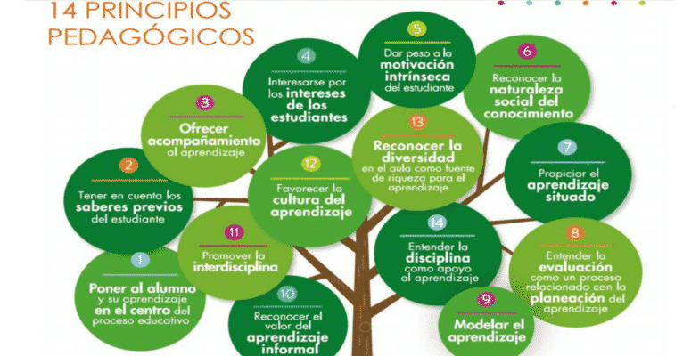 Los 14 principios pedagógicos que todo docente debe conocer
